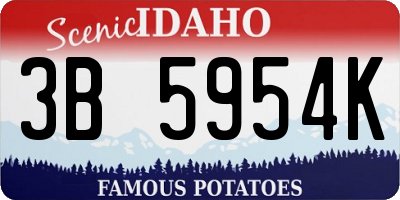 ID license plate 3B5954K