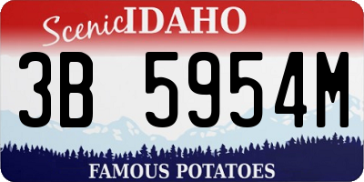 ID license plate 3B5954M