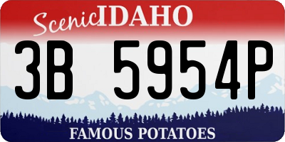 ID license plate 3B5954P