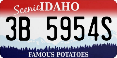 ID license plate 3B5954S