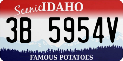 ID license plate 3B5954V
