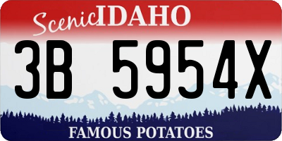 ID license plate 3B5954X
