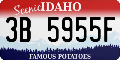 ID license plate 3B5955F