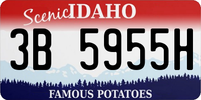 ID license plate 3B5955H