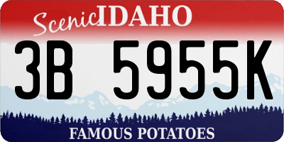 ID license plate 3B5955K