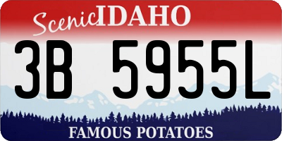 ID license plate 3B5955L