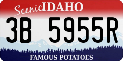 ID license plate 3B5955R