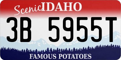 ID license plate 3B5955T