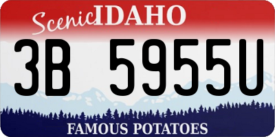 ID license plate 3B5955U