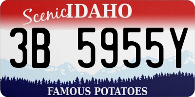 ID license plate 3B5955Y