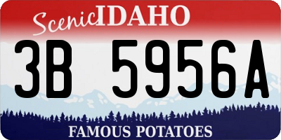 ID license plate 3B5956A
