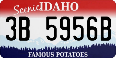 ID license plate 3B5956B