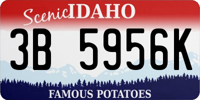 ID license plate 3B5956K