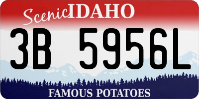 ID license plate 3B5956L