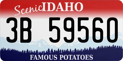 ID license plate 3B5956O