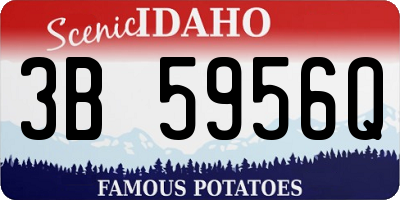 ID license plate 3B5956Q