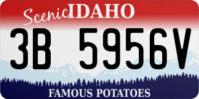 ID license plate 3B5956V