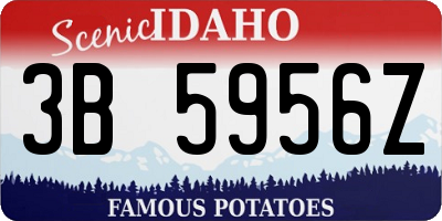 ID license plate 3B5956Z