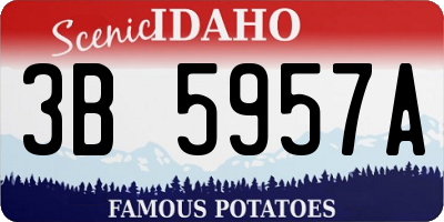ID license plate 3B5957A
