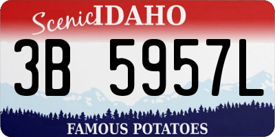 ID license plate 3B5957L