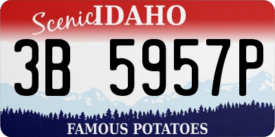 ID license plate 3B5957P