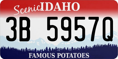 ID license plate 3B5957Q