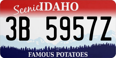 ID license plate 3B5957Z