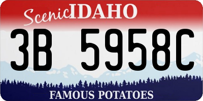 ID license plate 3B5958C