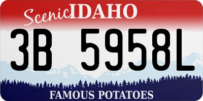 ID license plate 3B5958L