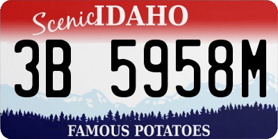 ID license plate 3B5958M