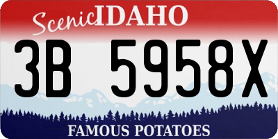 ID license plate 3B5958X