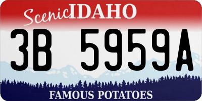 ID license plate 3B5959A