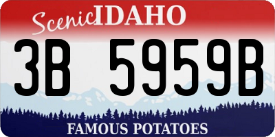 ID license plate 3B5959B