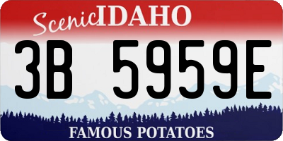 ID license plate 3B5959E