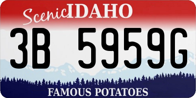 ID license plate 3B5959G