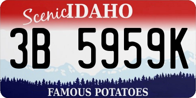 ID license plate 3B5959K