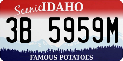 ID license plate 3B5959M