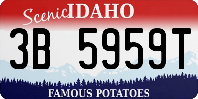 ID license plate 3B5959T
