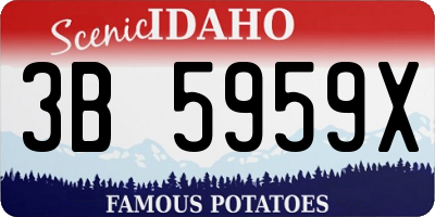 ID license plate 3B5959X