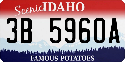 ID license plate 3B5960A