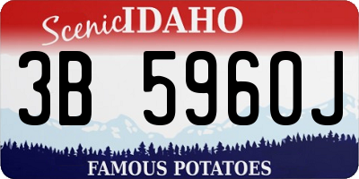 ID license plate 3B5960J