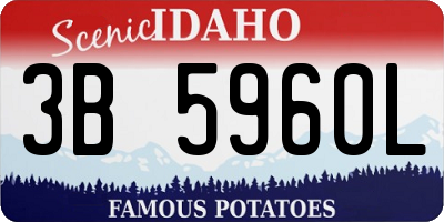 ID license plate 3B5960L