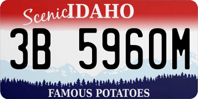 ID license plate 3B5960M
