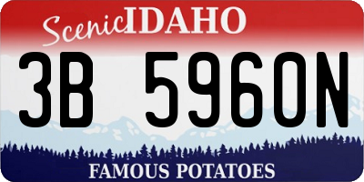 ID license plate 3B5960N