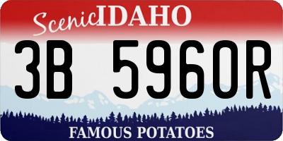 ID license plate 3B5960R