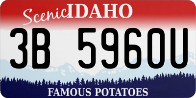 ID license plate 3B5960U