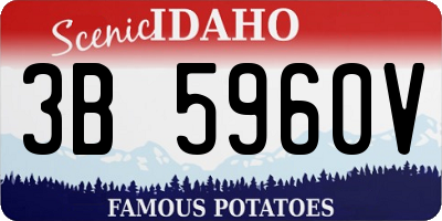 ID license plate 3B5960V