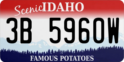 ID license plate 3B5960W