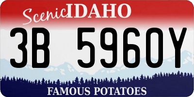 ID license plate 3B5960Y