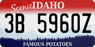 ID license plate 3B5960Z